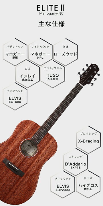 楽天市場】ELVISエルビス Elite2 アコースティック ギター 