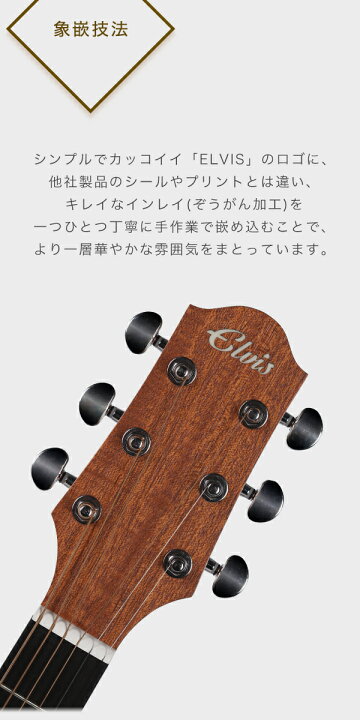 楽天市場】タイムセール【初心者セット8点】ELVISエルビス Master 1 