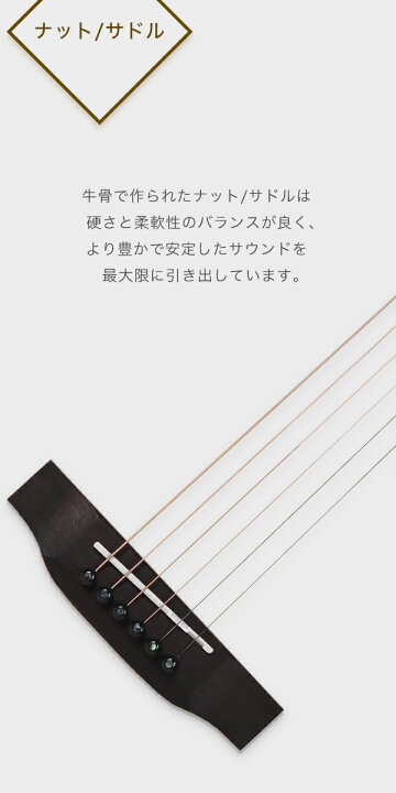 楽天市場】タイムセール【初心者セット8点】ELVISエルビス Master 1