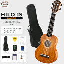 ◆単板人気1位◆ ELVISエルビス・Hilo 1s・ソプラノウクレレ・マンゴーウッド（トップ単板）・高級感あるグロス仕上げ…