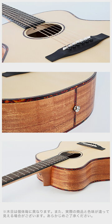楽天市場】【初心者定番9点セット】ELVISエルビス Master Mini 10 