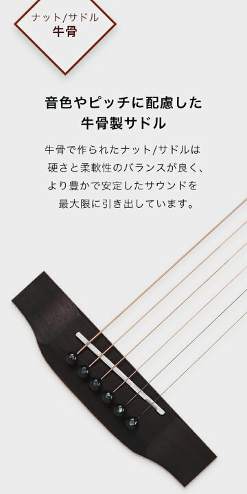楽天市場】【初心者定番9点セット】ELVISエルビス Master Mini 20 