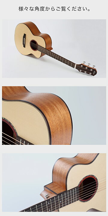楽天市場】【初心者定番9点セット】ELVISエルビス Master Mini 20 