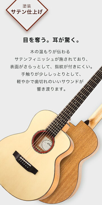 楽天市場】【初心者定番9点セット】ELVISエルビス Master Mini 20 