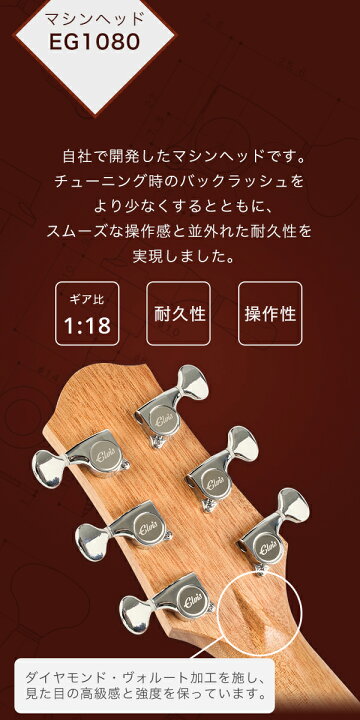楽天市場】【初心者定番9点セット】ELVISエルビス Master Mini 20 