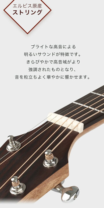 楽天市場】【初心者定番9点セット】ELVISエルビス Master Mini 20 