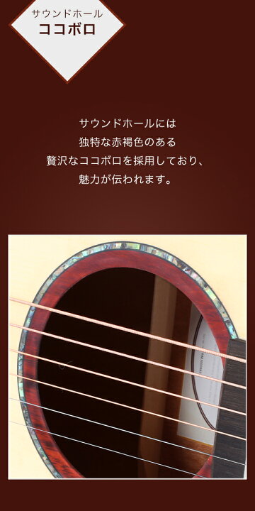 楽天市場】【初心者定番9点セット】ELVISエルビス Master Mini 20 