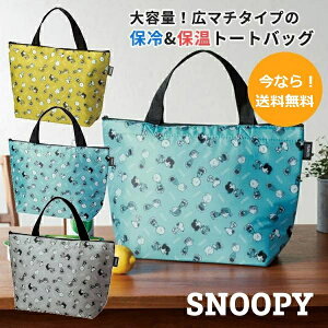 Xk[s[ ۗobO GRobO ۗ ۉ obO g[gobO fB[X t@Xi[ q y VbsOobO N[[obO 2023  Y fB[X