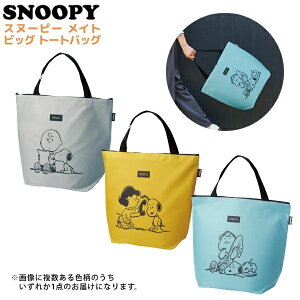 Xk[s[ g[gobO fB[X Y 傫 | t@Xi[ GRobO Rrj VbsO WobO 3J[