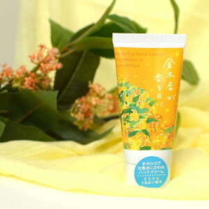 nhN[ Mtg v[g ϐ  ؍ LNZC EH[^Onh fB[X r    킢 lC  XLPA oY j j 