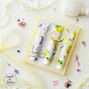 nhN[ Mtg { 3{Zbg v[g fB[X  r  Y    킢 lC  x_[ 䂸  oY j j Zbg