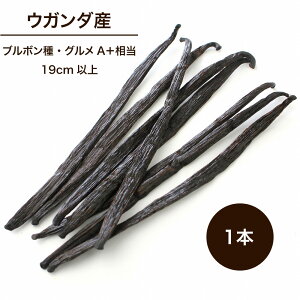 バニラビーンズ 1本 の人気商品一覧・価格比較