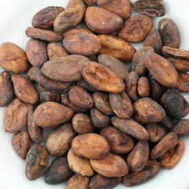 カカオ生豆　500g【ショコラマダガスカル】農薬を使わず育てた質のよいマダガスカル産カカオを使用