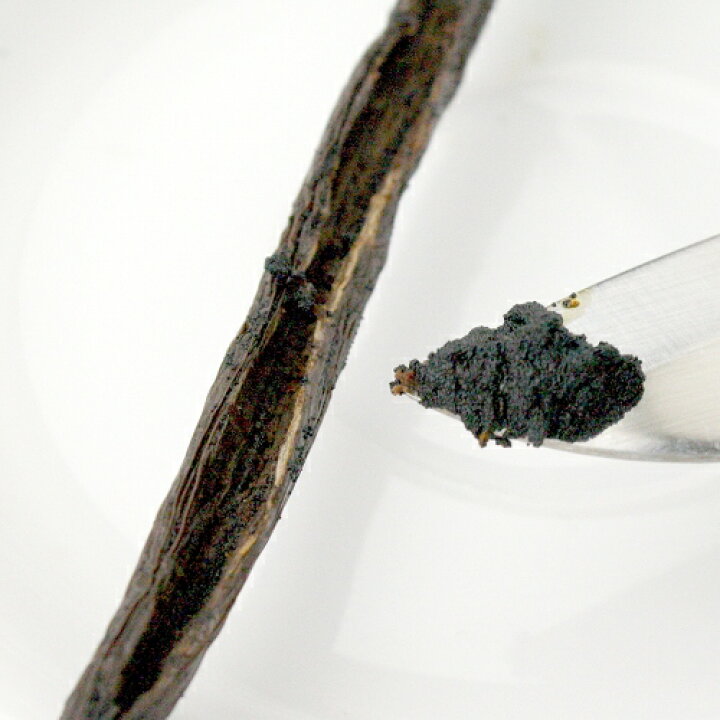 楽天市場】マダガスカル産 ブルボンバニラビーンズ 【100g】【14～19cm 