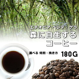 【焙煎 豆/粉 180g】ベレテ・ゲラの森に自生するコーヒー