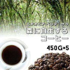 【焙煎 豆/粉 450gx5袋】ベレテ・ゲラの森に自生するコーヒー【送料無料】