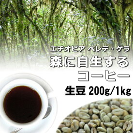 ベレテ・ゲラの森に自生する コーヒー 生豆 家庭用 自家焙煎用 未焙煎 エチオピア ナチュラル