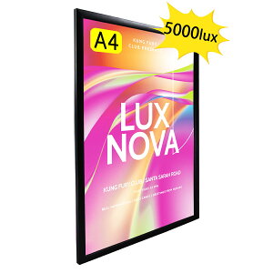 y^ԁFOKH20-A4-BKzyPx5000Luxȏz@pLEDCgpl @dŔ @A4TCY@F@XܗpŔ@Ǌ|Ŕ@ƎŔ@|X^[Ŕ@lӊJ@^@Px