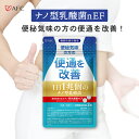 ［50％OFF］ 1日1兆個のナノ型乳酸菌 30日分 【機能性表示食品】 ダイエットサプリ 酪酸菌 食物繊維 腸内 フローラ 便秘 サプリ サプリメント 腸活 腸内細菌 送料無料