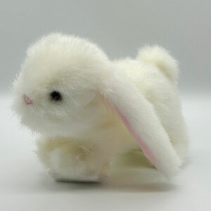 yIׂ閳bsOIz{ Ⴄ S  S 킢 LbY v[g ETM