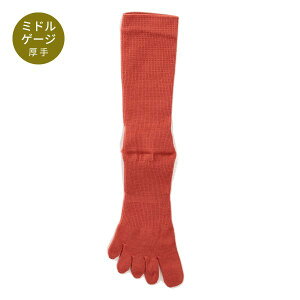 5{w\bNX Y XguE n N[ { rWlX   R hL L Ȃ ܖ{wC Mtg