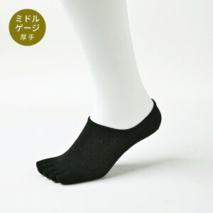 5{w\bNX Y ubN {h[shbg Jo[ { rWlX   R hL L Ȃ ܖ{wC Mtg  Ԃ EȂ