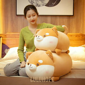 ʂ Č NbV NbVOp   k NbVJo[ NbVtA    ӂӂ a v[g 50cm TCY