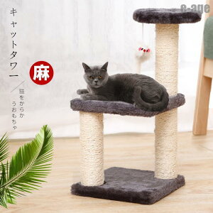 Lbg^[ hDG Ђ LnEX g h Lbg^[mau ȃXy[X^ ^ X ܂Ƃ nbNL^[ cat tree u^