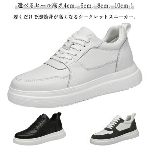 4cm/6cm/8cm/10cmgUPIXj[J[ Y V[NbgV[Y V[NbgXj[J[  V[NbgXj[J[ JWA V[Y V[NbgV[Y  ubN O[ zCg 