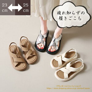 T_ fB[X   X|[c  T_ Ȃ ɂȂ y ₷ X|[cT_ _bhV[Y X|T bNXQ