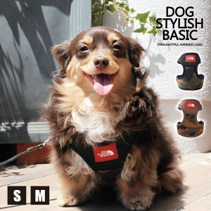  ^ p n[lX   [hZbg U o ȒP  킢 uh n[lX[h n[lX[hZbg [h  Ck hbO dog ^ ybgp AFRESH