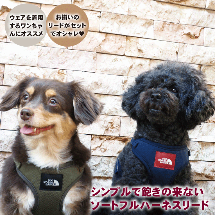 楽天市場】犬 小型犬 犬用 ハーネス 犬具 胴輪 リードセット 楽天市場】犬 小型犬 犬用 ハーネス 犬具 胴輪 リードセット