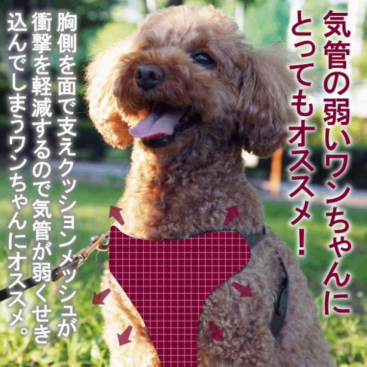 楽天市場】犬 小型犬 犬用 ハーネス 犬具 胴輪 リードセット 楽天市場】犬 小型犬 犬用 ハーネス 犬具 胴輪 リードセット