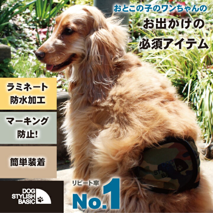 楽天市場 マナーベルト マナーバンド マナーウェア マーキング防止 オシッコ対策 トイレ用品 おむつ 犬 イヌ ドッグ Dog 小型犬 犬用 ペット用 散歩 お出かけ 簡単装着 Afreshfeelingdog Stylish Basicカモフラマナーベルト Llサイズ 犬 猫用品と雑貨のafreshfeeling