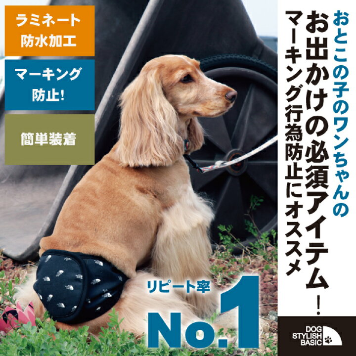 楽天市場 Dog Stylish Basicオールオーバーパターンマナーベルト ｓサイズマナーベルト マナーバンド マナーウェア マーキング防止 オシッコ対策 トイレ用品 おむつ 犬 イヌ ドッグ Dog 小型犬 犬用 ペット用 散歩 お出かけ 簡単装着 Afreshfeeling 犬猫用品と雑貨の