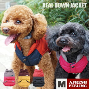 DOG STYLISH BASICoCJ[A_EWPbg MTCYybgEFA hbOEFA  ^ 킢  WPbg A_E  y AFRESHFEELING AtbVtB