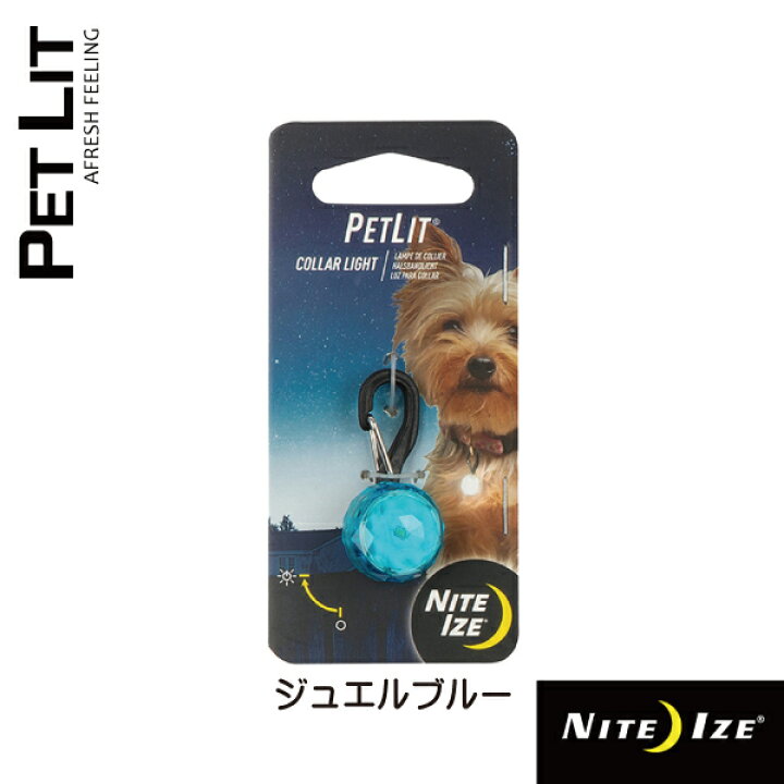 ペット用 セーフティライト お散歩ライト LED 犬 猫 ブルー 通販