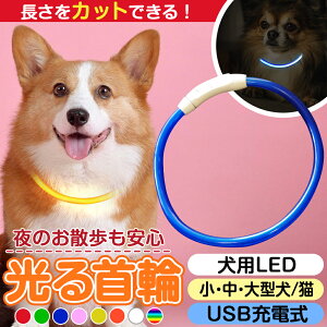    ybg LEDCg L USB[d ^ ^ ^ ybgpi p hbOObY S