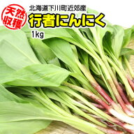 【送料無料】スタッフ自ら下川町近郊の山奥で収穫した超天然行者にんにく / 1kg入　※お届けは4月下旬以…