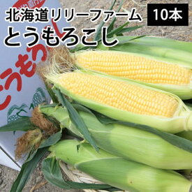 【送料無料】北海道名寄産とうもろこし★ゴールドラッシュ（2L〜L　10本入）　※収穫後随時お届けとなります。