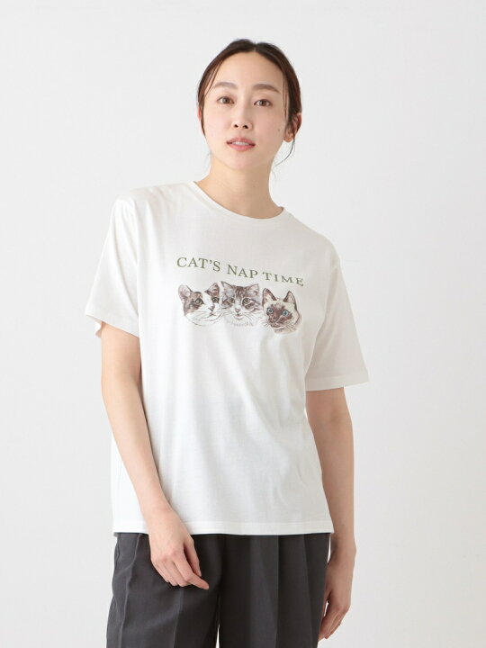 楽天市場】Tシャツ/Cat