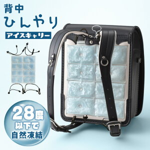 ACXL[ bN w pV[g ʉ ʊw LbY xr[  ACXNbVhZ MǑ΍ ΍ R[hbNL[ cool N[ Ђ w R }}