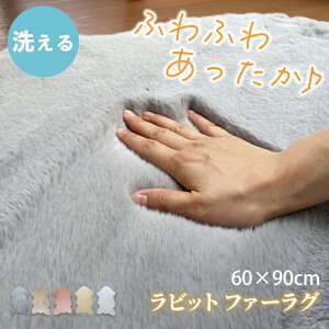 SSXSiP5{ 3980~2980~ Ƃ낯tFCNt@[ rbgt@[ O 60×90cm O}bg [g tFCNt@[ 􂦂 [g  CeA Vv ӂӂ Ƃ낯 