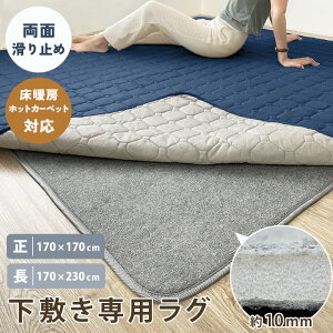  ~ O ~O  A_[O ~ Yh~ 170×170 ` 2 170×230 ` 3 10mm O}bgp h h g[ zbgJ[ybgΉ O[ I[V[Y