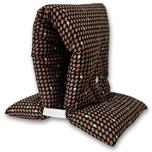 Sʃvg^Cv hГ  hЂ qp { LbY ct ۈ牀 ` wZ 3Nxɂ c  q qǂ w hЃObY hЗpi j̎q ̎q 