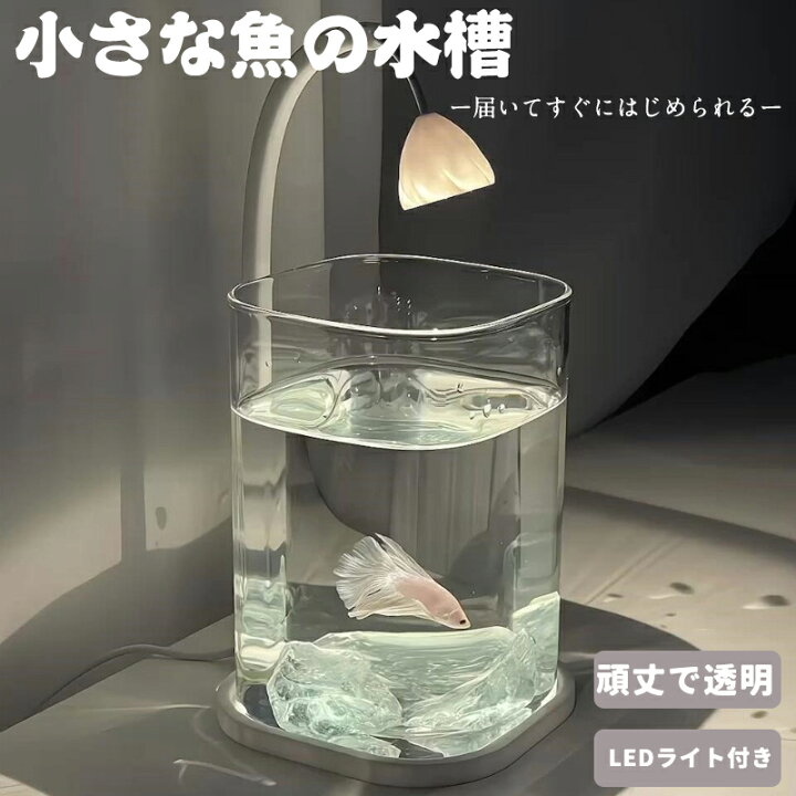 楽天市場】水槽セット 金魚鉢 金魚 飼育 アクアリウム 容器 透明 