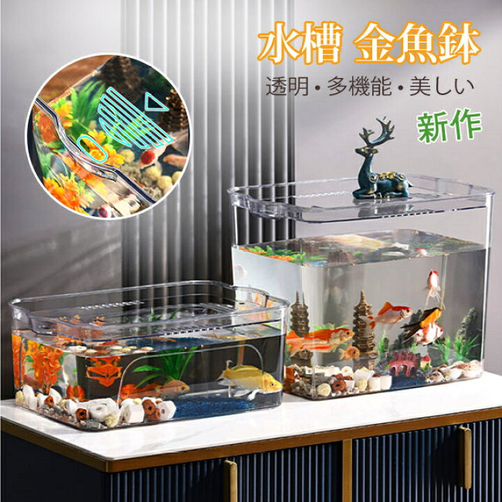 楽天市場】金魚鉢 水槽 飼育水槽 プラスチック テラリウム 透明 