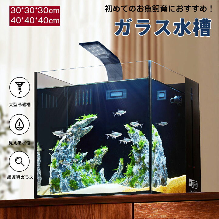 楽天市場】水槽 水景水槽 リビングキューブ オールインワン水槽 