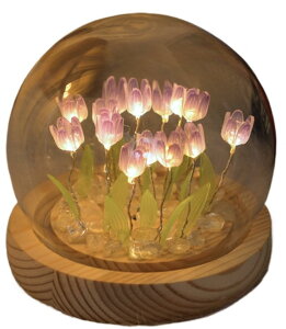 DIY `[bviCgCg LED `[bviCgCg `[bvX^h fXN 20  lJbvFlv[g ͋C