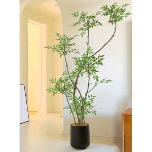 tFCNO[  lHϗtA ^ rO ItBX Lb`  er ie A Ă悤 bNXԂÂ sv K̖